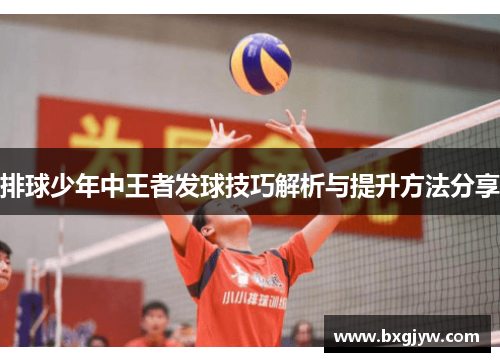 排球少年中王者发球技巧解析与提升方法分享
